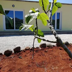 La Casa Dei Fichi Casa vacanze
